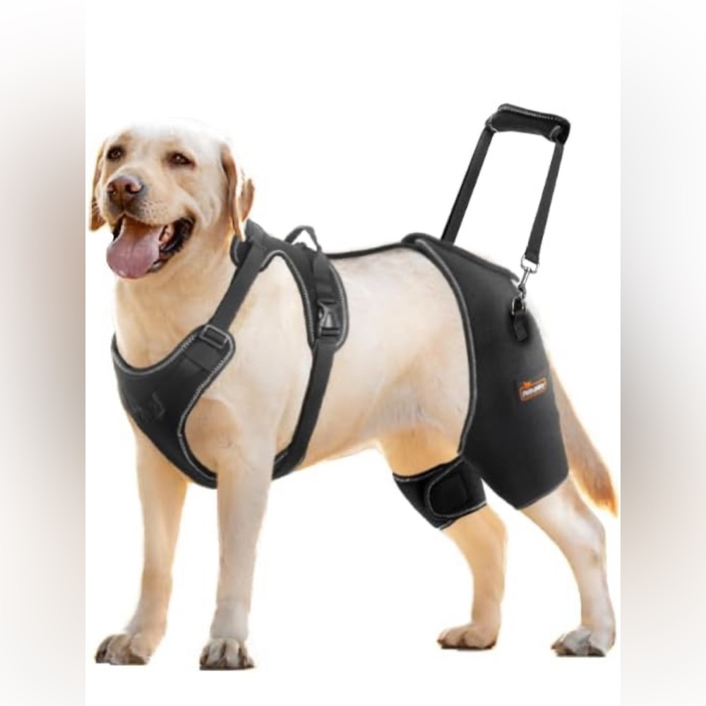 CHAMIN/RISURRY Dog Hip Brace Support for Hip Dysplasia, Arthritis, Back Leg